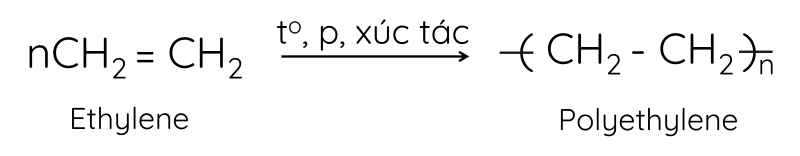 KHTN 9, Trùng hợp ethylene, olm