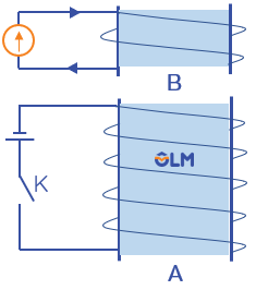 vật lí 12, hiện tượng cảm ứng, olm