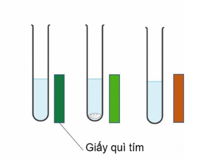 Hóa học 10, Oxide tác dụng với nước, olm