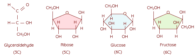 Monosaccharide