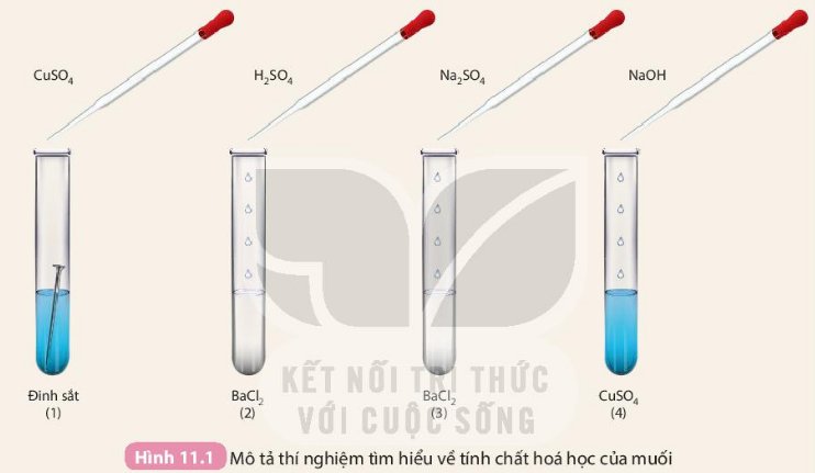 3. Cách Thực Hiện Phản Ứng