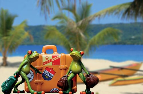 Cuộc nghỉ hè của nhà ếch