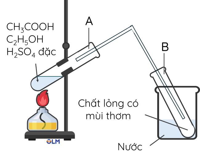 KHTN 9, Thí nghiệm phản ứng ester hóa, olm