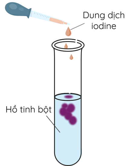 KHTN 9, Thí nghiệm tinh bột tác dụng với iodine, olm