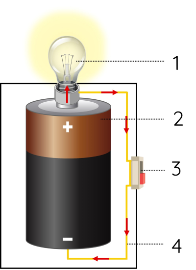 Khoa học 5, cấu tạo của đèn pin