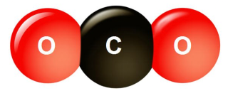 KHTN 7, mô hình phân tử của carbon dioxide