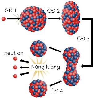 vật lí, lớp 12, Uranium phân hạch