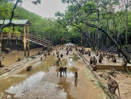 địa lí 9, đông nam bộ, sinh vật