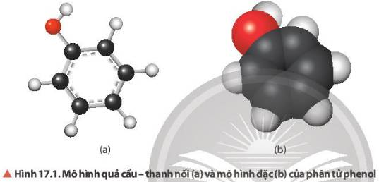 Cho các chất có công thức cấu tạo  Chất nào không thuộc loại ph