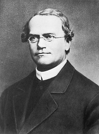 sinh học 12, ảnh gregor johann mendel olm