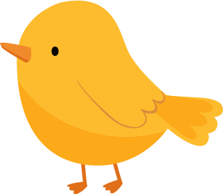 bird