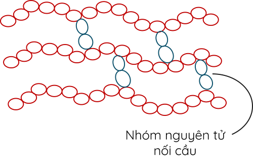 KHTN 9, Polymer mạng không gian