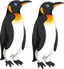 penguins