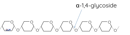 Hóa học 12, Amylose