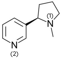 Hóa học 12, nicotine