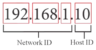 Cấu trúc của IPv4