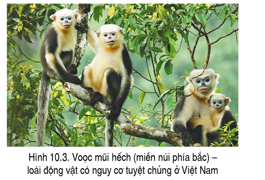 Đa dạng sinh học ở Việt Nam đang bị suy giảm 