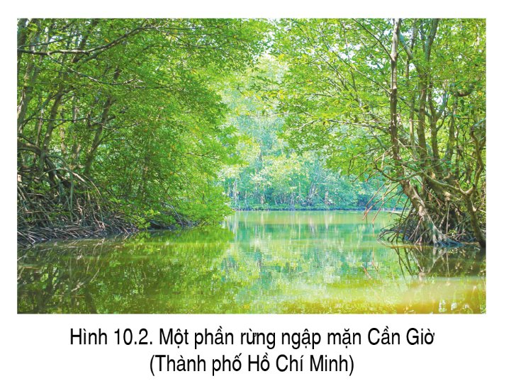 Đa dạng về hệ sinh thái