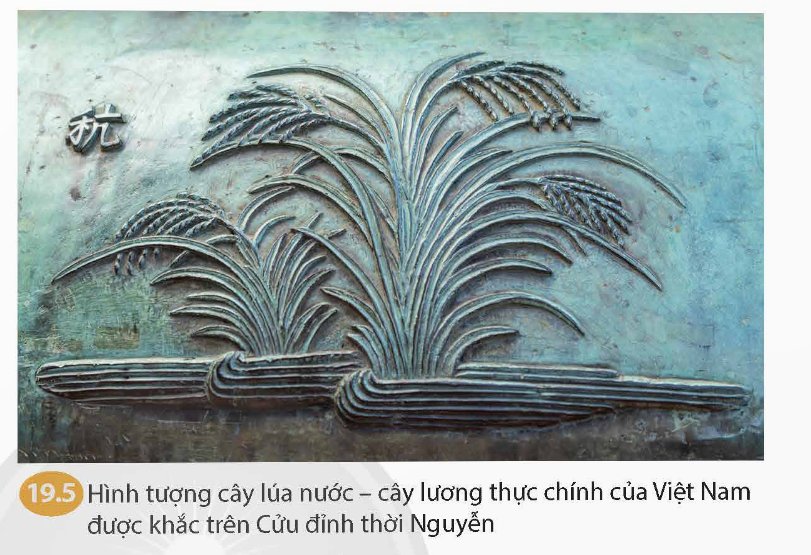 Hình tượng cây lúa