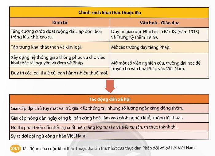 Chính sách và tác động