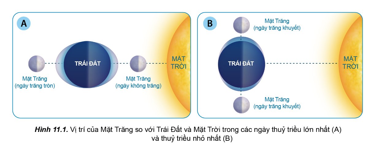 Vị trí của Mặt Trăng so với Trái Đất và Mặt Trời trong các ngày thủy triều lớn nhất và thủy triều nhỏ nhất