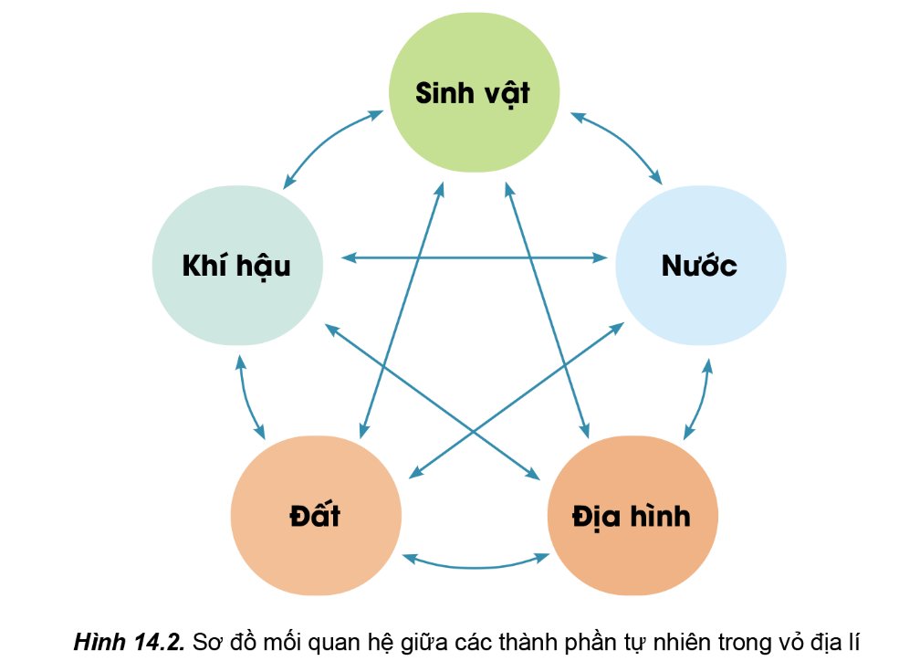 Sơ đồ mối quan hệ giữa các thành phần tự nhiên trong vỏ địa lí