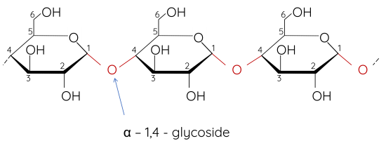 Hóa học 12, Amylose