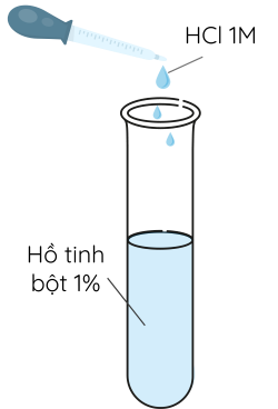 Hóa học 12, Thủy phân tinh bột