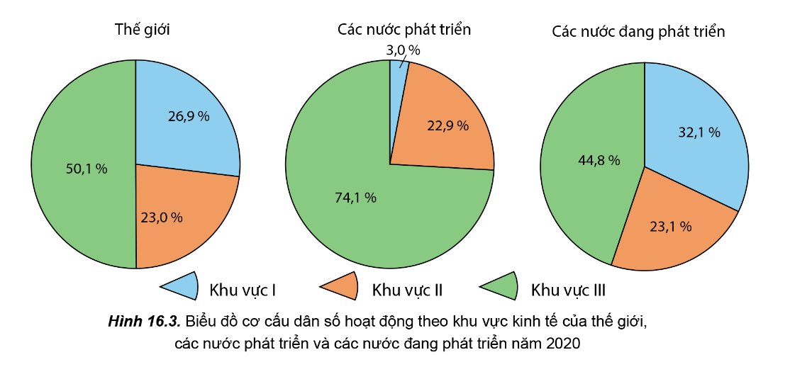 Cơ cấu dân số theo lao động