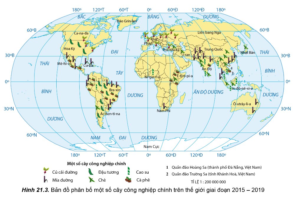 Bản đồ phân bố cây công nghiệp