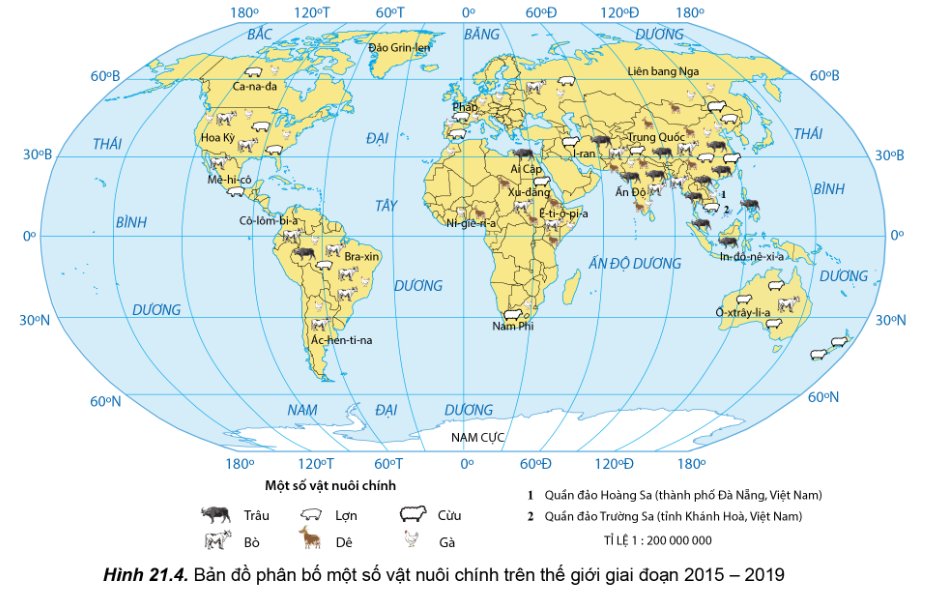 Phân bố các vật nuôi chính