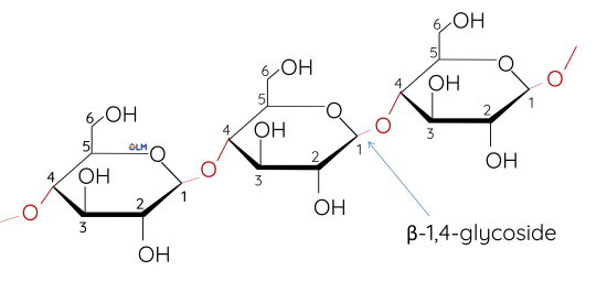 Hóa học 12, Cellulose