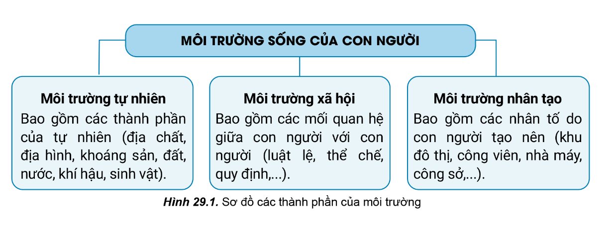 Các thành phần của môi trường