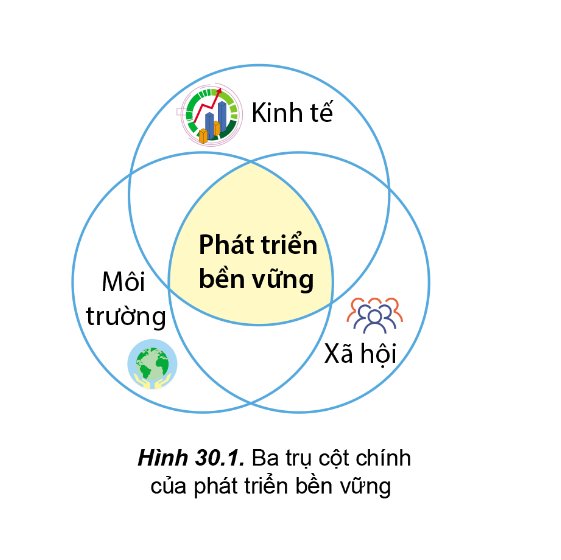 3 trụ cột chính của phát triển bền vững