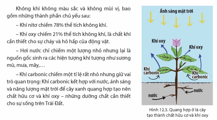 Trình bày thông tin theo phân loại các đối tượng