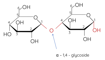 Hóa học 12, maltose