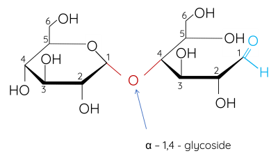 Hóa học 12, maltose