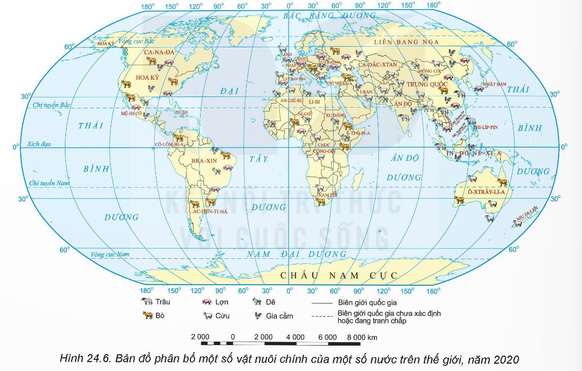 Phân bố một số vật nuôi chính trên thế giới