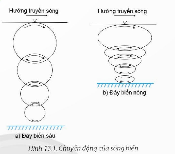 dao động của nước biển theo chiều thẳng đứng