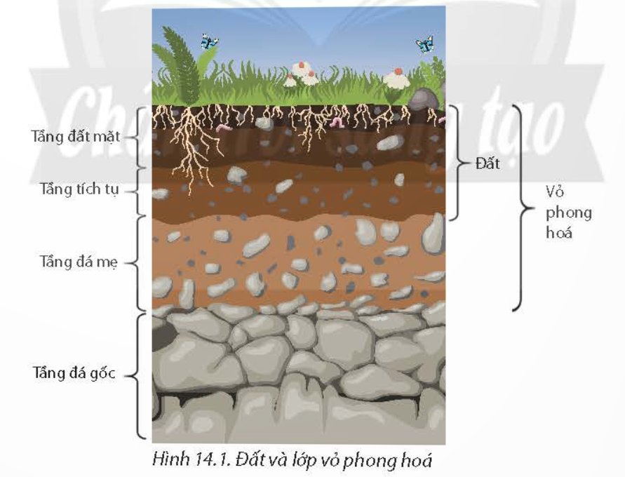 ĐẤT VÀ LỚP VỎ PHONG HOÁ