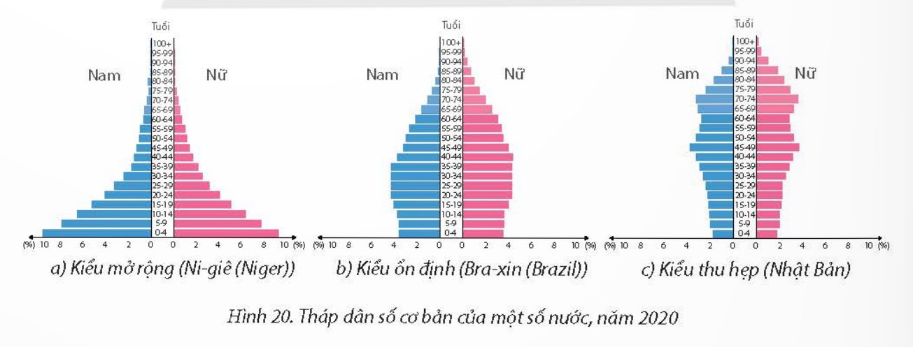 Tháp dân số