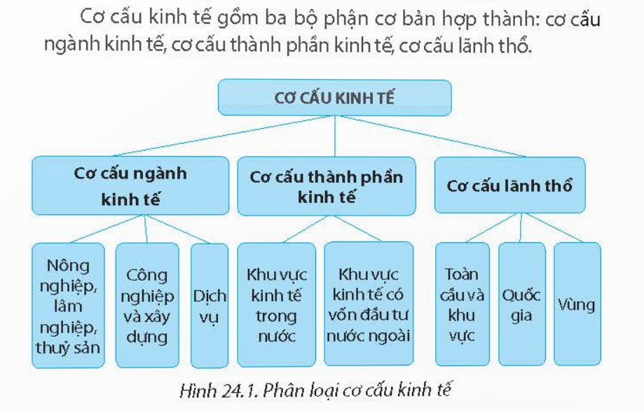 cơ cấu kinh tế