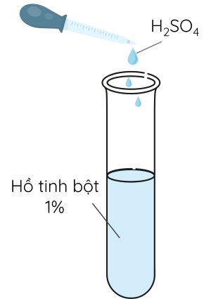 Hóa học 12, Thủy phân tinh bột