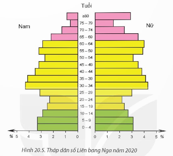  Cơ cấu dân số