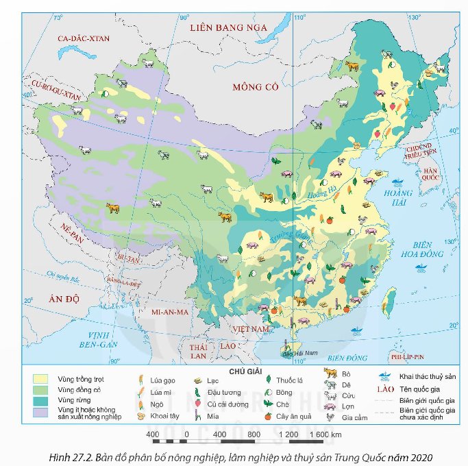 bản đồ phân bố nông nghiệp, lâm nghiệp, thuỷ sản