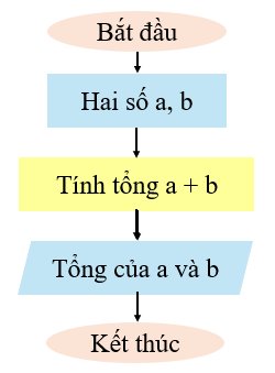 olm, Tin học 6, KNTT, Luyện tập bài 15