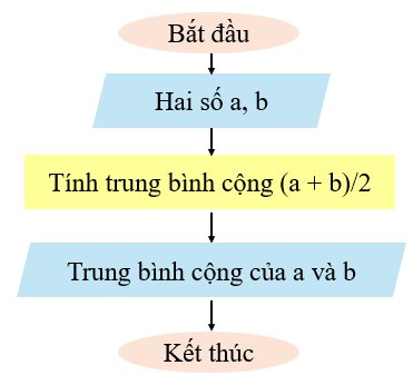 olm, Tin học 6, KNTT, Luyện tập bài 15