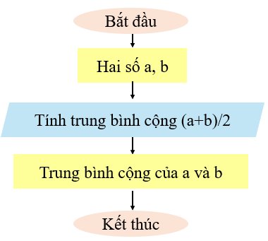 olm, Tin học 6, KNTT, Luyện tập bài 15