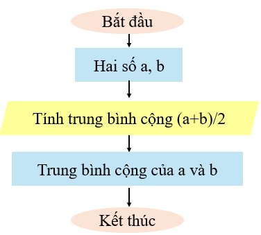 olm, Tin học 6, KNTT, Luyện tập bài 15