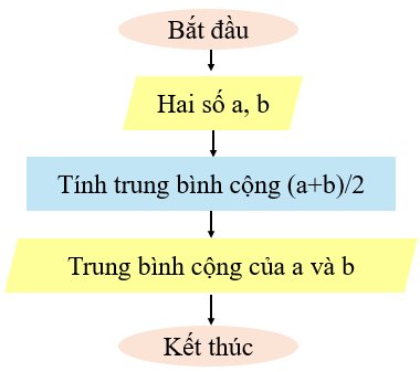 olm, Tin học 6, KNTT, Luyện tập bài 15